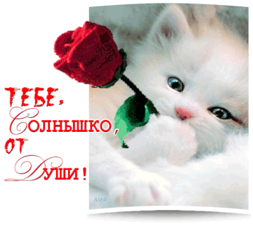 https://upforme.ru/uploads/0019/f3/f4/181/t831068.gif