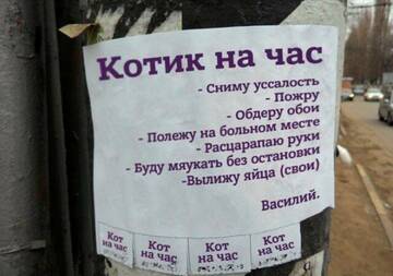 https://upforme.ru/uploads/0019/f3/f4/185/t605522.jpg