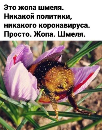 https://upforme.ru/uploads/0019/f3/f4/194/t49723.jpg