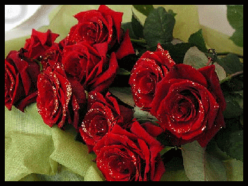 https://upforme.ru/uploads/0019/f3/f4/198/t51922.gif