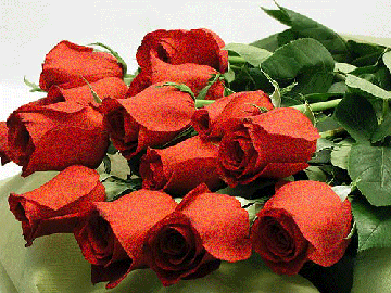https://upforme.ru/uploads/0019/f3/f4/198/t87614.gif