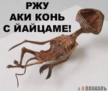 https://upforme.ru/uploads/0019/f3/f4/226/t274040.jpg