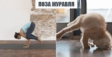 https://upforme.ru/uploads/0019/f3/f4/226/t29949.jpg
