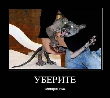 https://upforme.ru/uploads/0019/f3/f4/245/t266607.jpg