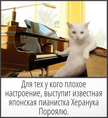 https://upforme.ru/uploads/0019/f3/f4/245/t460396.jpg