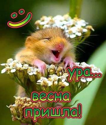 https://upforme.ru/uploads/0019/f3/f4/245/t67338.jpg