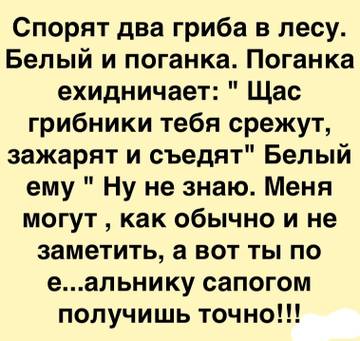https://upforme.ru/uploads/0019/f3/f4/245/t732226.jpg