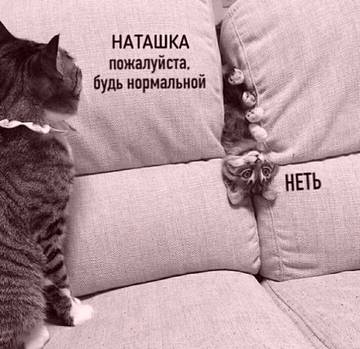 https://upforme.ru/uploads/0019/f3/f4/245/t74551.jpg