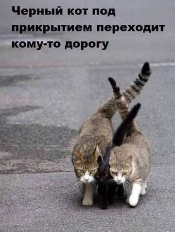 https://upforme.ru/uploads/0019/f3/f4/245/t759184.jpg