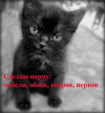 https://upforme.ru/uploads/0019/f3/f4/245/t827139.jpg