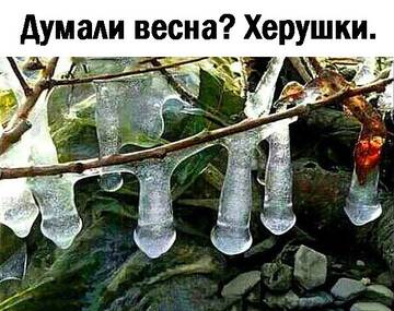 https://upforme.ru/uploads/0019/f3/f4/245/t925975.jpg