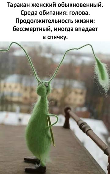 https://upforme.ru/uploads/0019/f3/f4/245/t972354.jpg