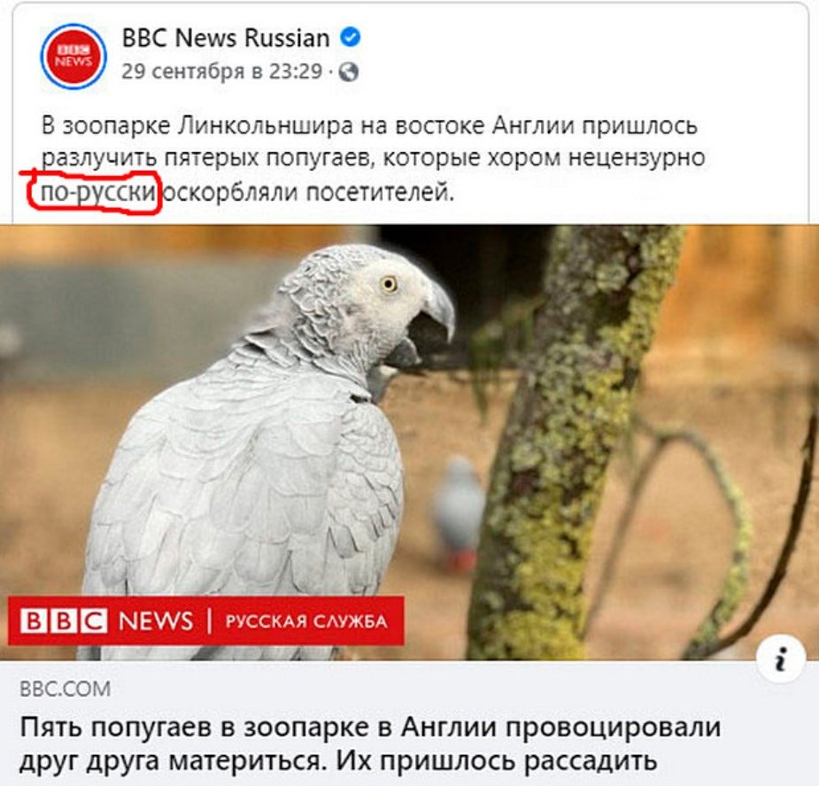 https://upforme.ru/uploads/0019/f3/f4/295/255420.jpg