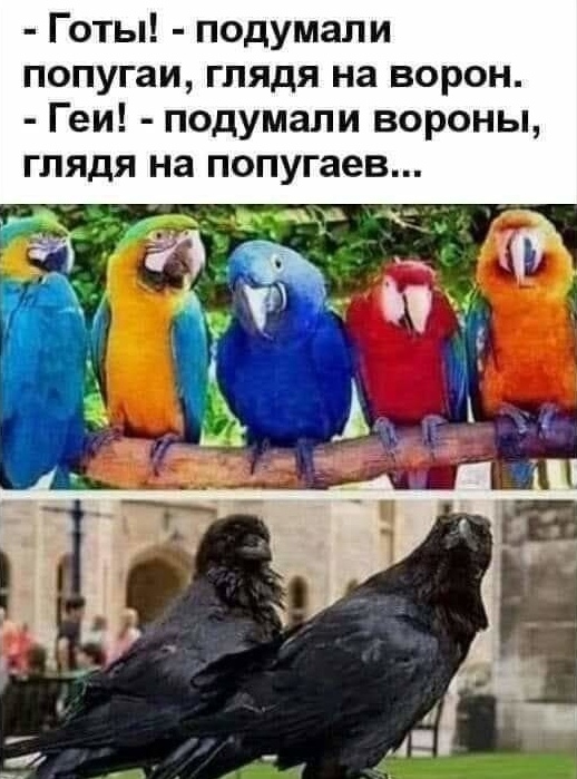https://upforme.ru/uploads/0019/f3/f4/295/72966.jpg