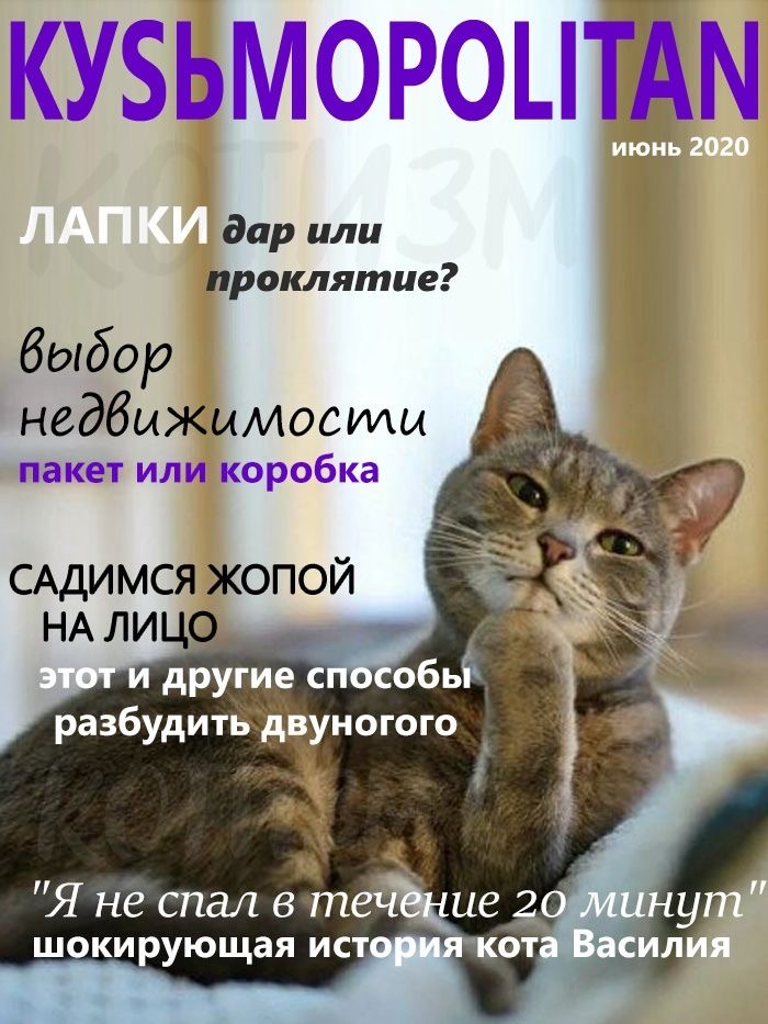 https://upforme.ru/uploads/0019/f3/f4/295/849245.jpg