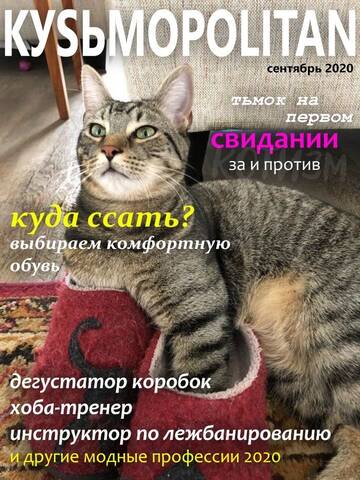 https://upforme.ru/uploads/0019/f3/f4/295/t280559.jpg