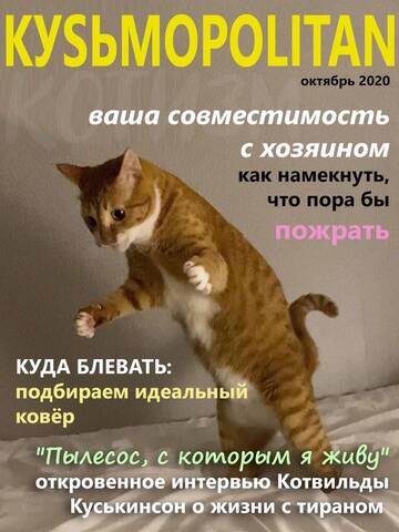 https://upforme.ru/uploads/0019/f3/f4/295/t551126.jpg