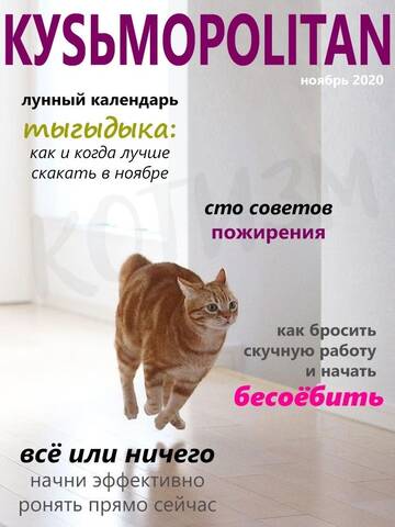 https://upforme.ru/uploads/0019/f3/f4/295/t890637.jpg