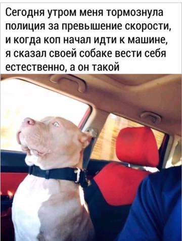 https://upforme.ru/uploads/0019/f3/f4/31/t439961.jpg