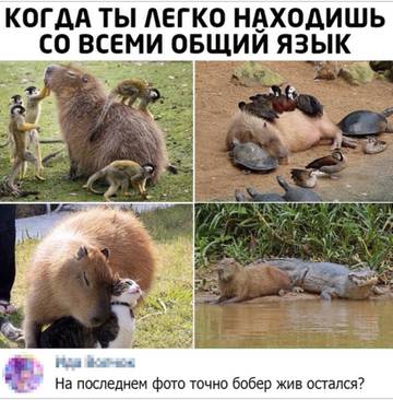 https://upforme.ru/uploads/0019/f3/f4/31/t808502.jpg