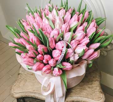 https://upforme.ru/uploads/0019/f3/f4/373/t556613.png