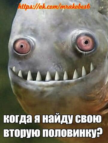 https://upforme.ru/uploads/0019/f3/f4/4/t28336.jpg