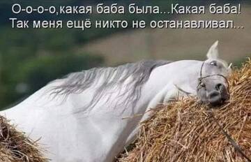 https://upforme.ru/uploads/0019/f3/f4/4/t811341.jpg