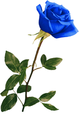 https://upforme.ru/uploads/0019/f3/f4/538/t257272.png