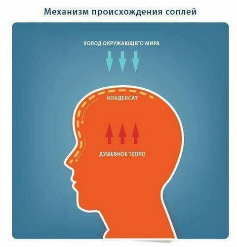 https://upforme.ru/uploads/0019/f3/f4/58/t33971.jpg