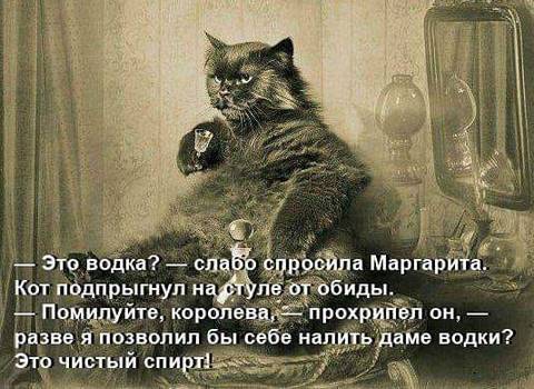 https://upforme.ru/uploads/0019/f3/f4/58/t45359.jpg