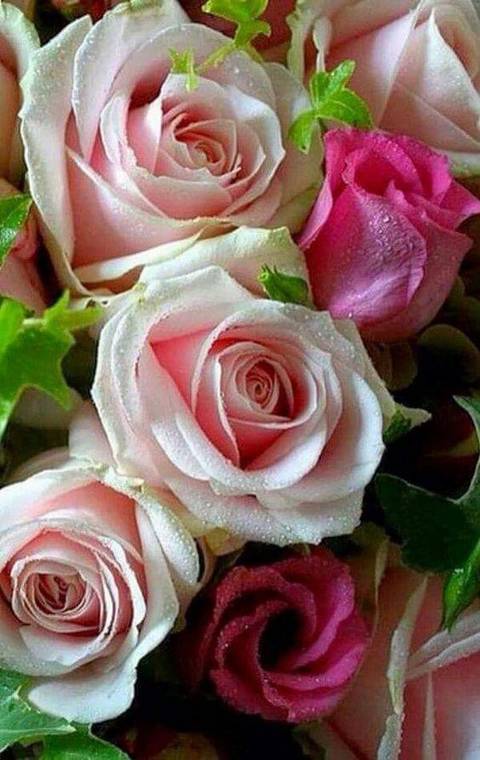 https://upforme.ru/uploads/0019/f3/f4/58/t70022.jpg
