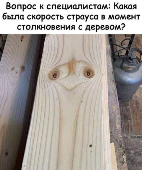 https://upforme.ru/uploads/0019/f3/f4/671/t393090.jpg