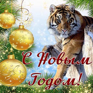 https://upforme.ru/uploads/0019/f3/f4/694/t923129.jpg