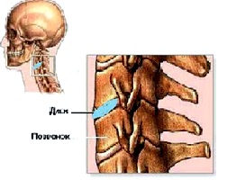 https://upforme.ru/uploads/0019/f3/f4/77/t83936.jpg
