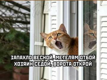 https://upforme.ru/uploads/0019/f3/f4/9/t14473.jpg