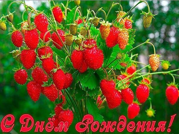 https://upforme.ru/uploads/0019/f3/f4/9/t308488.jpg