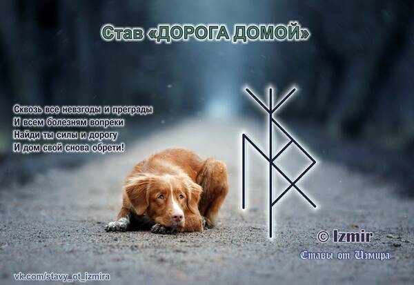 https://upforme.ru/uploads/0019/f3/f4/9/t315049.jpg