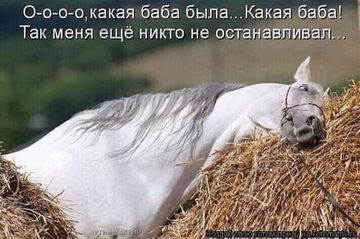 https://upforme.ru/uploads/0019/f3/f4/9/t413423.png