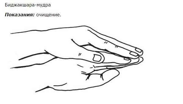 https://upforme.ru/uploads/0019/f3/f4/9/t574462.jpg