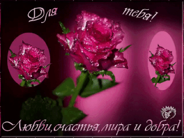 https://upforme.ru/uploads/0019/f3/f4/9/t952545.gif