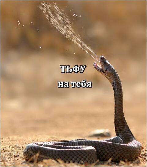 https://upforme.ru/uploads/0019/f6/b8/20/t917240.jpg