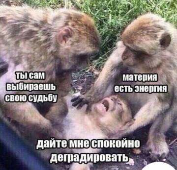 https://upforme.ru/uploads/0019/f6/b8/3/t800764.jpg