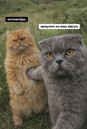 https://upforme.ru/uploads/0019/f6/b8/3/t814718.jpg
