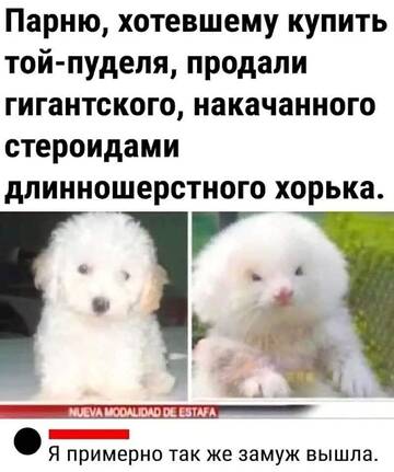 https://upforme.ru/uploads/0019/f6/b8/3/t893481.jpg