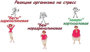 https://upforme.ru/uploads/0019/f6/b8/4/t395242.jpg