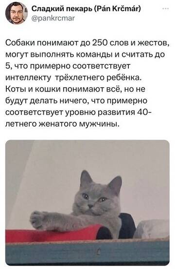 https://upforme.ru/uploads/0019/f6/b8/436/t422880.jpg