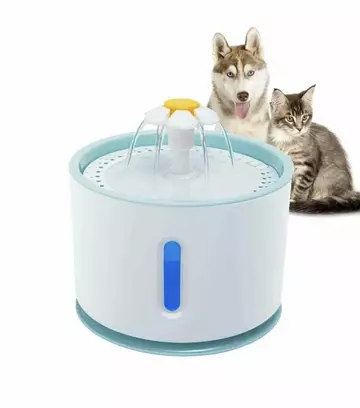 https://upforme.ru/uploads/0019/f6/b8/436/t46736.webp