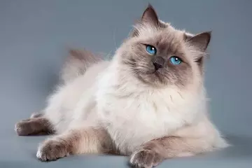https://upforme.ru/uploads/0019/f6/b8/436/t687703.webp