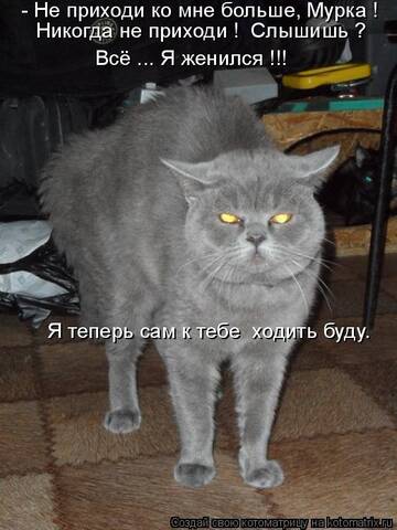 https://upforme.ru/uploads/0019/f6/b8/436/t707316.jpg