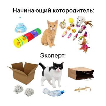 https://upforme.ru/uploads/0019/f6/b8/436/t780392.jpg